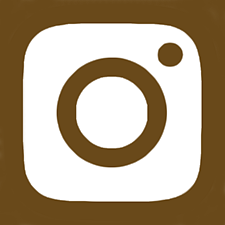 instagram icon